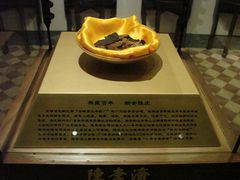 百年陈皮-陈李济中药博物馆