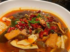 渝信毛血旺-渝信川菜(西单店)