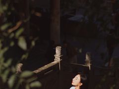 -盘龙寺