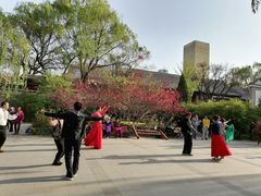 -文瀛公园