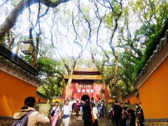 -普陀山风景名胜区-法雨禅寺