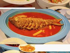 -阿五黄河大鲤鱼(英协路店)