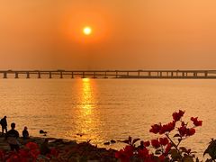 -宝安西湾红树林湿地公园