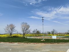 -武汉紫薇都市田园