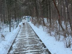 -帽儿山国家森林公园