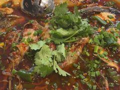 -院8里·少城记忆老川菜(宽窄巷子店)