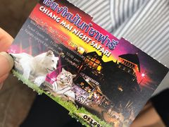 -清迈夜间动物园