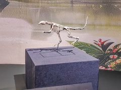 -遇见博物馆(遇见海洋沉浸式奇幻光影展)