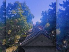 -香山公园