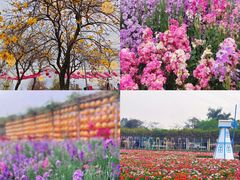 -盈香心动乐园