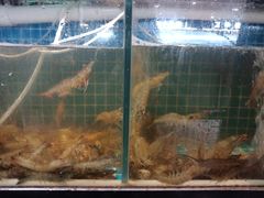 -蛙太牛牛肉海鲜自助火锅(台江万达店)