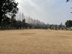 -前小桔亲子创意农场·草莓采摘·露营烧烤