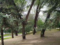 -黑龙江省森林植物园