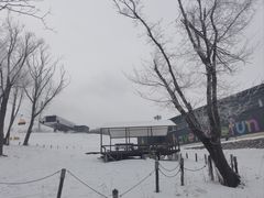 -中旅松花湖滑雪场