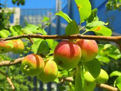 -中关村生命科学园