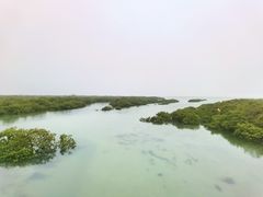 -北海金海湾红树林生态旅游区