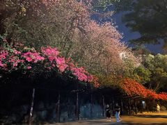 -蒙记老牌豆浆