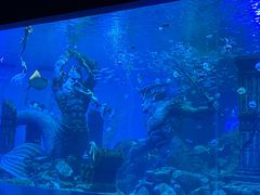-波塞冬海底世界