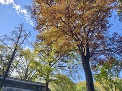 -镇江市南山风景名胜区竹林景区