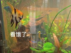 -茶庐(百花洲路店)