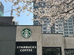 -玛格萝妮比萨屋(四平店)