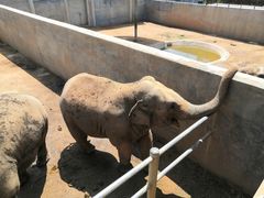 -西霞口神雕山野生动物世界