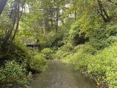 -峡谷浮石林景区