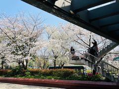 -南浦大桥长途旅游客运站