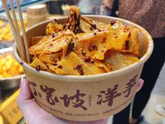 -周小亮丁家坡洋芋(全国总店)