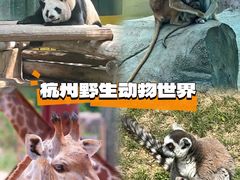 -杭州野生动物世界