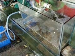 -高州佬美食城(香洲店)