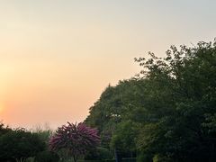 -张翻越·川渝冒菜·武汉黑鸭煲(城北万象城店)