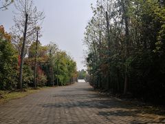 -上海海湾国家森林公园