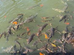 -天毓山庄·餐厅