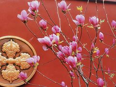 -西安市广仁寺