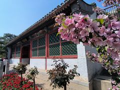 -海棠花溪(元大都城垣遗址公园)