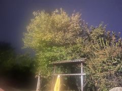 -咸宁万豪温泉谷度假区