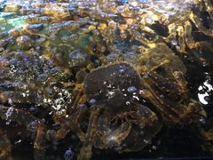 -蟹之国·精品蟹料理(极地店)