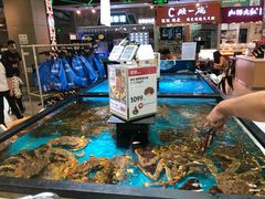 帝王蟹-盒马鲜生(宝地店)