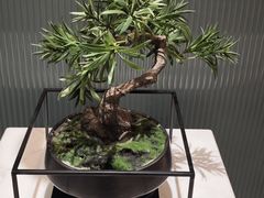 -青水瓦台汤泉(未央店)