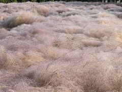 -华山御温泉度假村