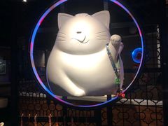 -猫抓烤肉(观音桥九街店)