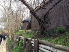 -紫金山天文台