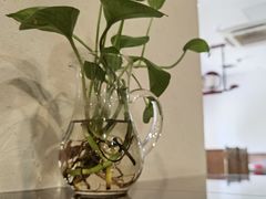-羊阿公·嘉福烤全羊龙虾馆·家常菜(广益店)