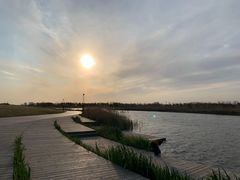 -春花秋色城市公园