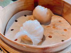 三号黄浦会の水晶虾饺-三号黄浦会Canton Table