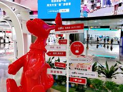 -杭州萧山国际机场