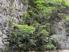 -山西通天峡景区