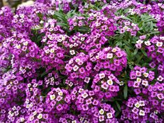 -飘香酒馆·私房菜