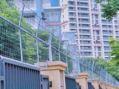 -金陵中学(河西分校)